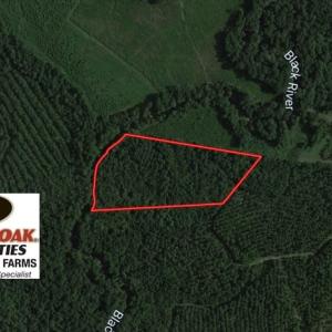 Photo of SOLD!  12.17 Acres of Timber and Hunting Land for Sale in Sampson County NC!