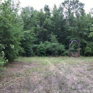 Photo of SOLD!  12.17 Acres of Timber and Hunting Land for Sale in Sampson County NC!