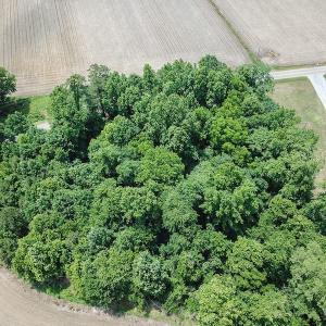 Photo of SOLD!  1 Acre Building Lot For Sale in Chowan County NC!