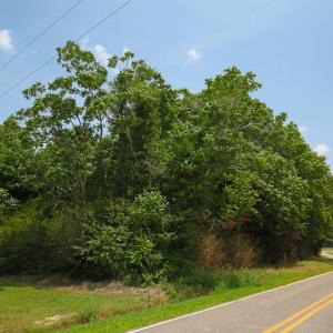 Photo of SOLD!  1 Acre Building Lot For Sale in Chowan County NC!