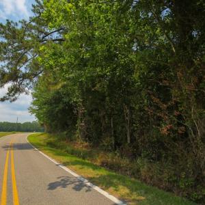 Photo of SOLD!  1 Acre Building Lot For Sale in Chowan County NC!