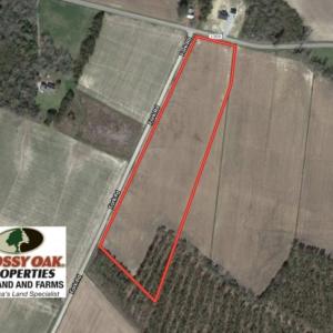 Photo of SOLD! 13 Acre Farm For Sale in Chowan County NC!