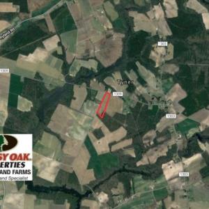 Photo of SOLD! 13 Acre Farm For Sale in Chowan County NC!