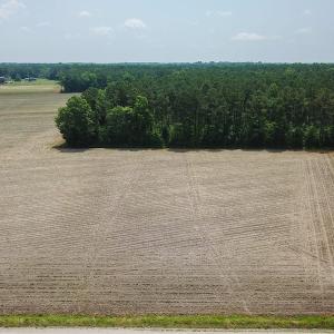Photo of SOLD! 13 Acre Farm For Sale in Chowan County NC!