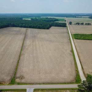 Photo of SOLD! 13 Acre Farm For Sale in Chowan County NC!