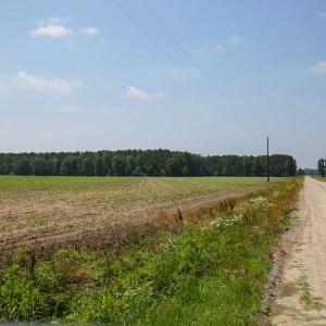Photo of SOLD! 13 Acre Farm For Sale in Chowan County NC!