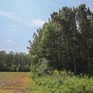 Photo of SOLD!! 2 Acre Building Lot For Sale in Chowan County NC!