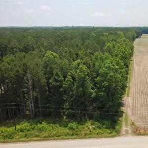 Photo of SOLD!! 2 Acre Building Lot For Sale in Chowan County NC!