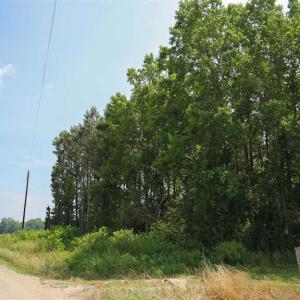 Photo of SOLD!! 2 Acre Building Lot For Sale in Chowan County NC!