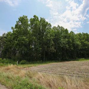 Photo of SOLD!! 2 Acre Building Lot For Sale in Chowan County NC!