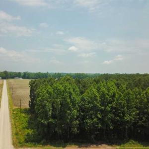 Photo of SOLD!! 2 Acre Building Lot For Sale in Chowan County NC!