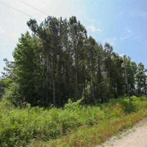 Photo of SOLD!! 2 Acre Building Lot For Sale in Chowan County NC!