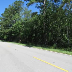 Photo of SOLD!!  460 Acres of Timber Land For Sale in Columbus County NC!