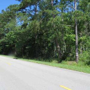 Photo of SOLD!!  460 Acres of Timber Land For Sale in Columbus County NC!
