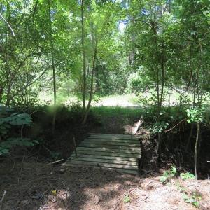 Photo of SOLD!!  460 Acres of Timber Land For Sale in Columbus County NC!