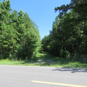 Photo of SOLD!!  460 Acres of Timber Land For Sale in Columbus County NC!