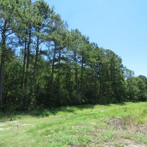 Photo of SOLD!!  460 Acres of Timber Land For Sale in Columbus County NC!