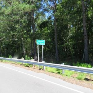Photo of SOLD!!  460 Acres of Timber Land For Sale in Columbus County NC!
