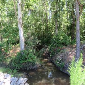 Photo of SOLD!!  460 Acres of Timber Land For Sale in Columbus County NC!