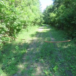 Photo of SOLD!!  460 Acres of Timber Land For Sale in Columbus County NC!