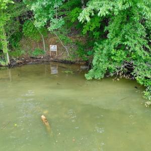 Photo of SOLD!!  1.24 Acres of Lakefront Residential Land For Sale in Bedford County VA!