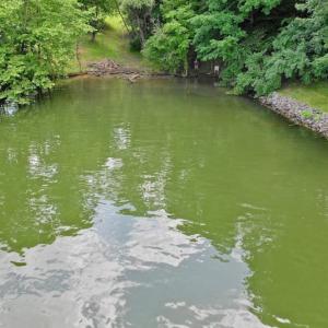 Photo of SOLD!!  1.24 Acres of Lakefront Residential Land For Sale in Bedford County VA!