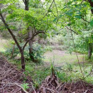 Photo of SOLD!!  1.24 Acres of Lakefront Residential Land For Sale in Bedford County VA!