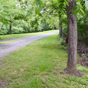 Photo of SOLD!!  1.24 Acres of Lakefront Residential Land For Sale in Bedford County VA!