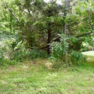 Photo of SOLD!!  1.24 Acres of Lakefront Residential Land For Sale in Bedford County VA!