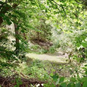 Photo of SOLD!!  1.24 Acres of Lakefront Residential Land For Sale in Bedford County VA!