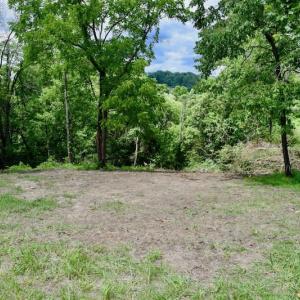 Photo of SOLD!!  1.24 Acres of Lakefront Residential Land For Sale in Bedford County VA!