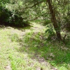 Photo of SOLD!!  1.24 Acres of Lakefront Residential Land For Sale in Bedford County VA!