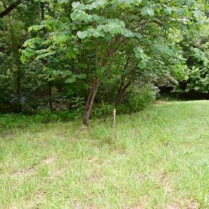 Photo of SOLD!!  1.24 Acres of Lakefront Residential Land For Sale in Bedford County VA!