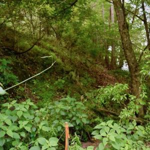 Photo of SOLD!!  1.24 Acres of Lakefront Residential Land For Sale in Bedford County VA!