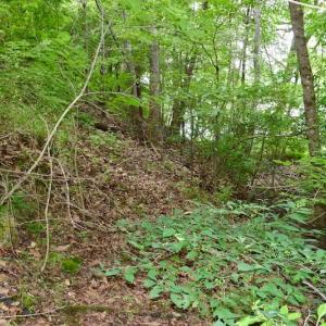 Photo of SOLD!!  1.24 Acres of Lakefront Residential Land For Sale in Bedford County VA!