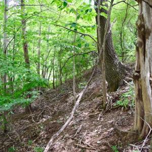Photo of SOLD!!  1.24 Acres of Lakefront Residential Land For Sale in Bedford County VA!