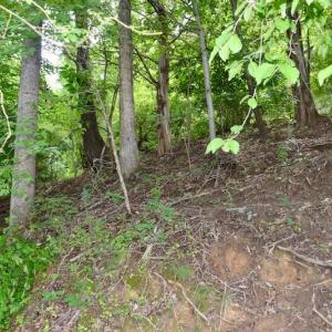 Photo of SOLD!!  1.24 Acres of Lakefront Residential Land For Sale in Bedford County VA!