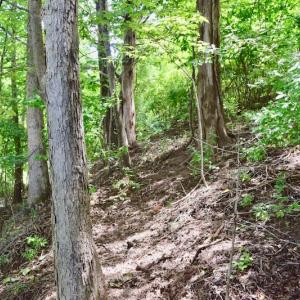 Photo of SOLD!!  1.24 Acres of Lakefront Residential Land For Sale in Bedford County VA!