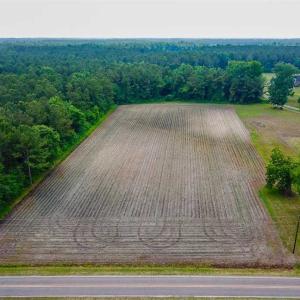 Photo of SOLD!! 39 Acres of Farm and Timber Land For Sale in Chowan County NC!