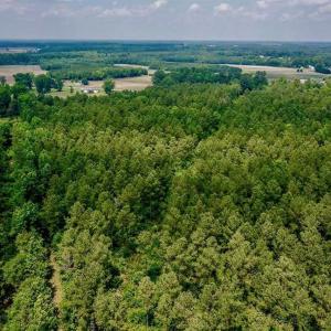 Photo of SOLD!! 39 Acres of Farm and Timber Land For Sale in Chowan County NC!