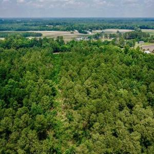 Photo of SOLD!! 39 Acres of Farm and Timber Land For Sale in Chowan County NC!