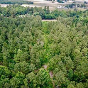 Photo of SOLD!! 39 Acres of Farm and Timber Land For Sale in Chowan County NC!