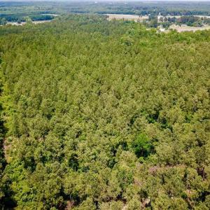Photo of SOLD!! 39 Acres of Farm and Timber Land For Sale in Chowan County NC!