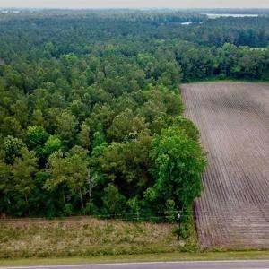 Photo of SOLD!! 39 Acres of Farm and Timber Land For Sale in Chowan County NC!