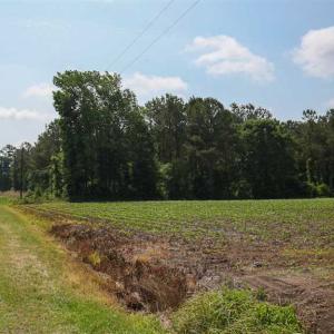 Photo of SOLD!! 39 Acres of Farm and Timber Land For Sale in Chowan County NC!