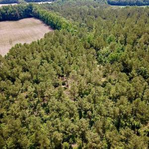 Photo of SOLD!! 39 Acres of Farm and Timber Land For Sale in Chowan County NC!