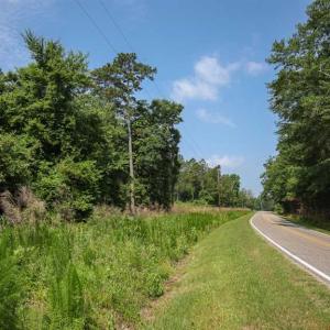 Photo of SOLD!! 39 Acres of Farm and Timber Land For Sale in Chowan County NC!