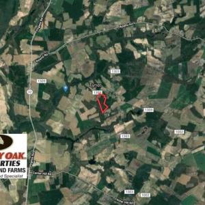 Photo of SOLD!! 39 Acres of Farm and Timber Land For Sale in Chowan County NC!