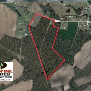 Photo of SOLD!! 39 Acres of Farm and Timber Land For Sale in Chowan County NC!
