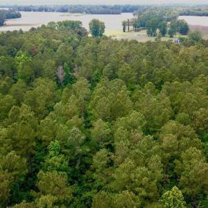 Photo of SOLD!! 39 Acres of Farm and Timber Land For Sale in Chowan County NC!